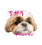 空気食う犬（個別スタンプ：10）