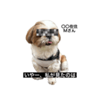 空気食う犬（個別スタンプ：11）