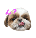 空気食う犬（個別スタンプ：14）