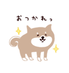 ○SHIBAINUさん○（個別スタンプ：1）