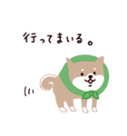 ○SHIBAINUさん○（個別スタンプ：31）