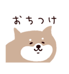 ○SHIBAINUさん○（個別スタンプ：34）