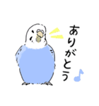 ブルー＆イエローセキセイインコスタンプ（個別スタンプ：4）