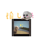 マルチーズJullyco’s stamp（個別スタンプ：32）