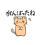 温泉ねこ きなこ（個別スタンプ：19）