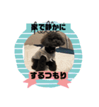リル 2022 トイプードル（個別スタンプ：30）