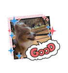 ココちんboy（個別スタンプ：15）