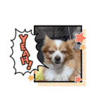 ココちんboy（個別スタンプ：17）