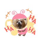 ココちんboy（個別スタンプ：32）
