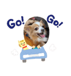 ココちんboy（個別スタンプ：35）