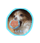 ココちんboy（個別スタンプ：36）