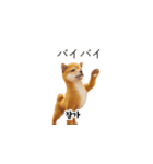 [40P]柴犬日常韓国語（個別スタンプ：37）