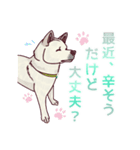 のんびり秋田犬の柚月さん。（個別スタンプ：2）