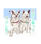 のんびり秋田犬の柚月さん。（個別スタンプ：35）