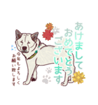 のんびり秋田犬の柚月さん。（個別スタンプ：37）