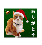 メリークリスマス！短足だってイイじゃん！（個別スタンプ：3）