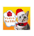 メリークリスマス！短足だってイイじゃん！（個別スタンプ：12）