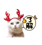 メリークリスマス！短足だってイイじゃん！（個別スタンプ：13）