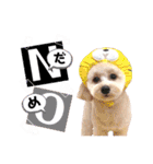 らん*（個別スタンプ：12）