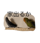 ペット大集合(鳥多め)（個別スタンプ：6）