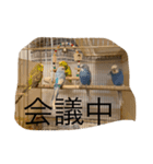 ペット大集合(鳥多め)（個別スタンプ：8）