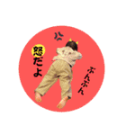 心奏姫スタンプ（個別スタンプ：16）