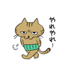 腹巻きしてる猫（個別スタンプ：2）