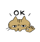 腹巻きしてる猫（個別スタンプ：3）
