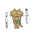 腹巻きしてる猫（個別スタンプ：4）