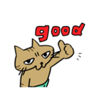 腹巻きしてる猫（個別スタンプ：5）