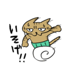 腹巻きしてる猫（個別スタンプ：8）