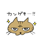 腹巻きしてる猫（個別スタンプ：9）