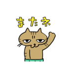 腹巻きしてる猫（個別スタンプ：15）