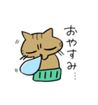 腹巻きしてる猫（個別スタンプ：16）