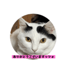 雨汐スタンプ2022（個別スタンプ：4）
