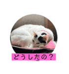 雨汐スタンプ2022（個別スタンプ：5）