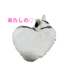 雨汐スタンプ2022（個別スタンプ：22）