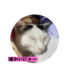 雨汐スタンプ2022（個別スタンプ：36）