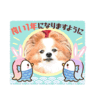 ぱぴぱぴパピヨン100（個別スタンプ：23）