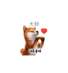 柴犬日常韓国語 40P（個別スタンプ：23）