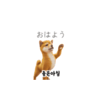 柴犬日常韓国語 40P（個別スタンプ：27）