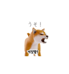 柴犬日常韓国語 40P（個別スタンプ：32）