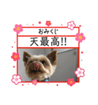 福福スタンプ☻（個別スタンプ：1）