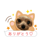 福福スタンプ☻（個別スタンプ：3）