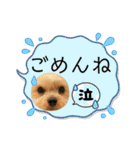 福福スタンプ☻（個別スタンプ：4）