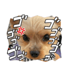 福福スタンプ☻（個別スタンプ：6）