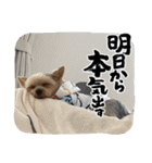 福福スタンプ☻（個別スタンプ：8）