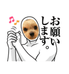 福福スタンプ☻（個別スタンプ：13）