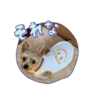 福福スタンプ☻（個別スタンプ：23）