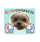 福福スタンプ☻（個別スタンプ：40）